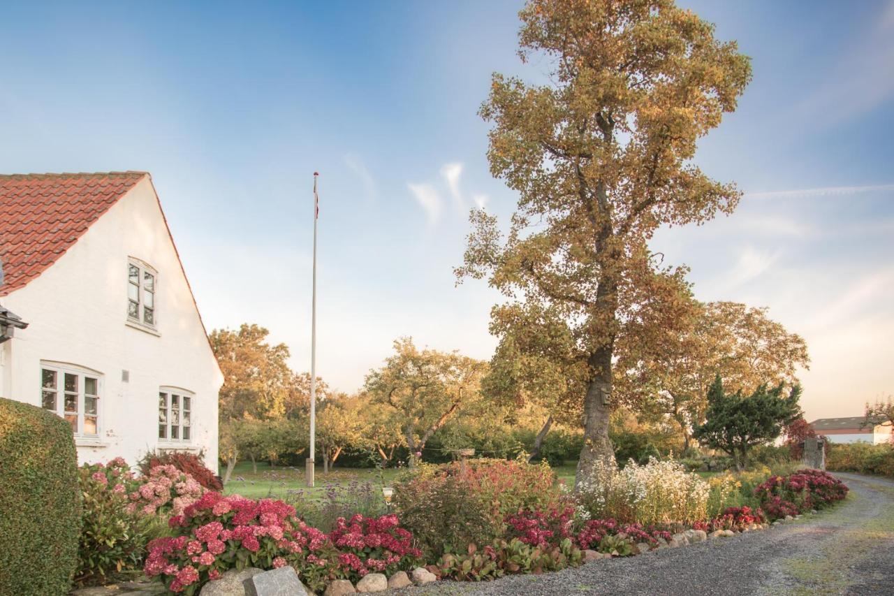 Sjaelegard Countryside Lodge Аллинге Экстерьер фото